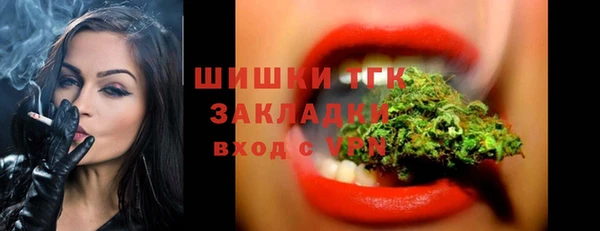 PSILOCYBIN Алзамай