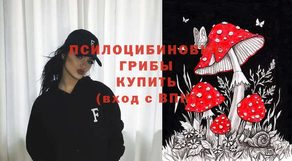 герыч Алексин