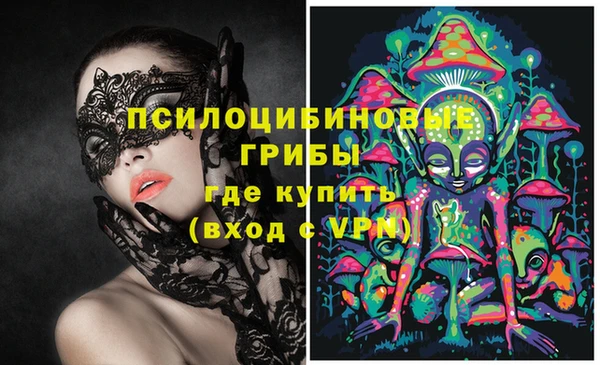 PSILOCYBIN Алзамай