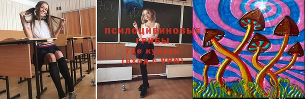 СК Алексеевка