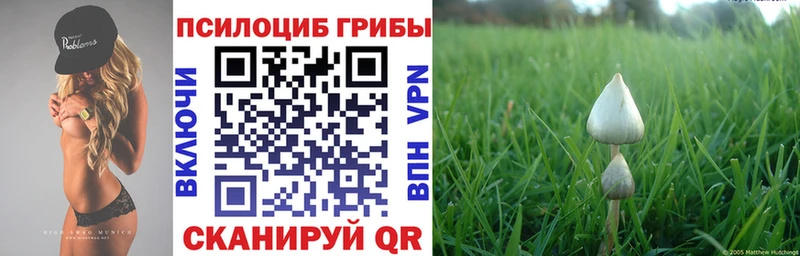 Галлюциногенные грибы Psilocybine cubensis  Киреевск 